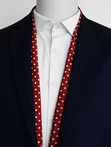 Maroon Mini Dot Polka - Silk Men Scarves - Silk Scarves | Monzoro Pakistan