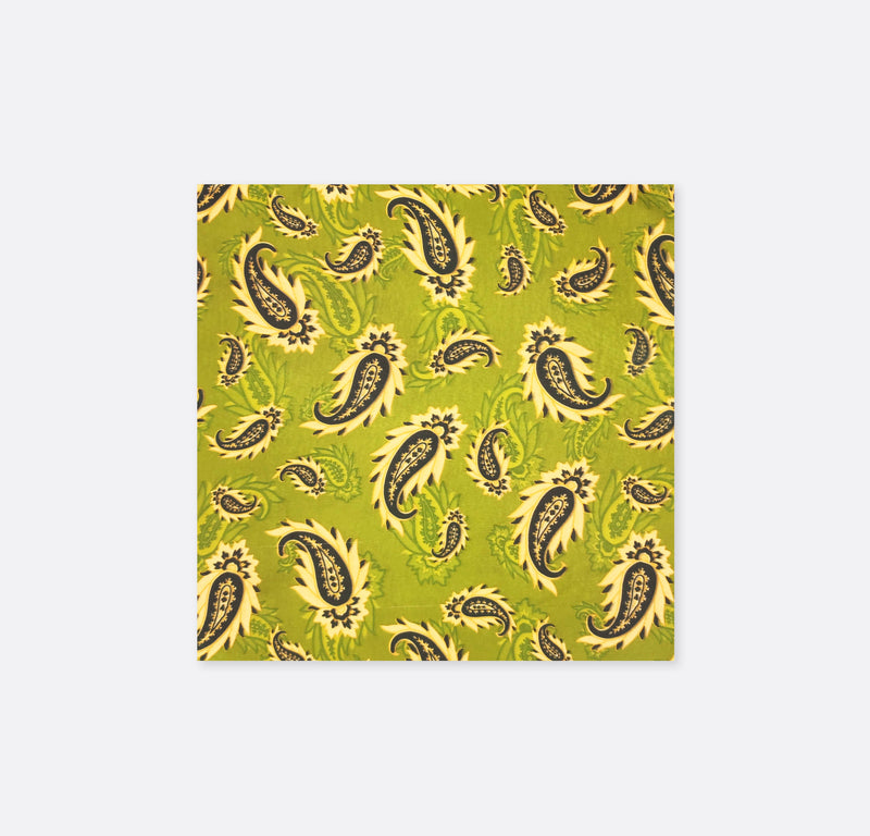 Paisley Passion Silk Pocket Squares