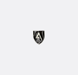 Classic Knight Shield Dark Brown & Silver Lapel Pin
