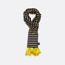 Blue and Gold Stripes Silk Scarves