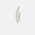 Pair Leaf – Silver Lapel Pins - Lapel Pins | Monzoro Pakistan