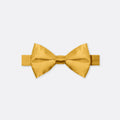 Solid Pale Marigold Bow Tie - Bow Ties | Monzoro Pakistan